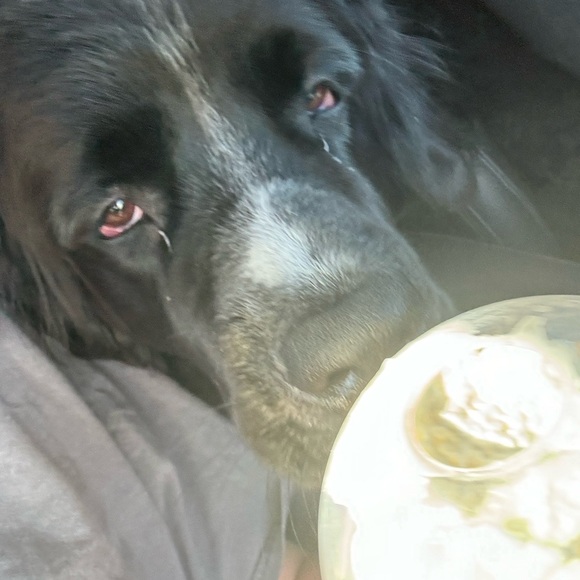 Meet your Posher, Campbell - Picture 6 of 7